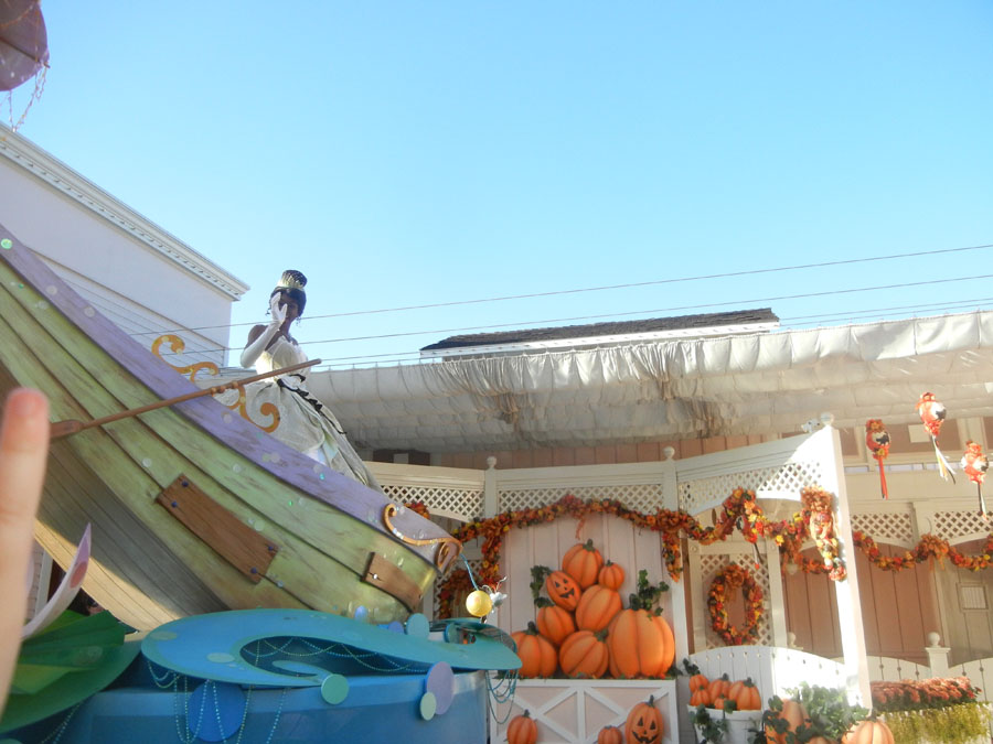Disneyland Parade in the Day